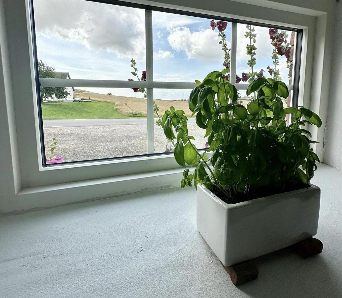Lilla Stenhuset Ystad Eksteriør bilde